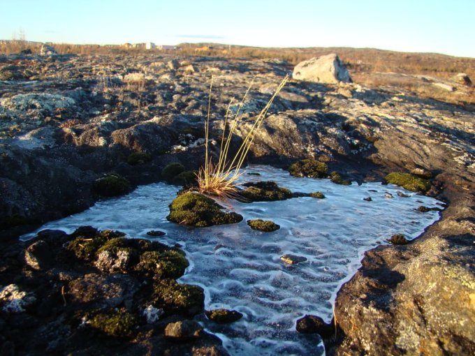 La toundra commence à geler, octobre