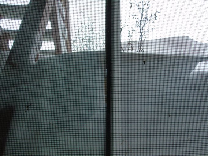 Blizzard à Kuujjuaq