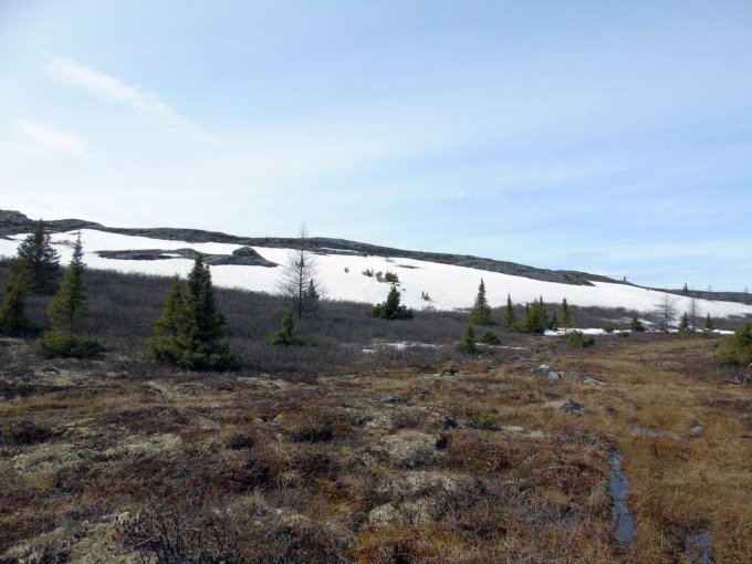 Encore un peu de neige sur le flanc de colline