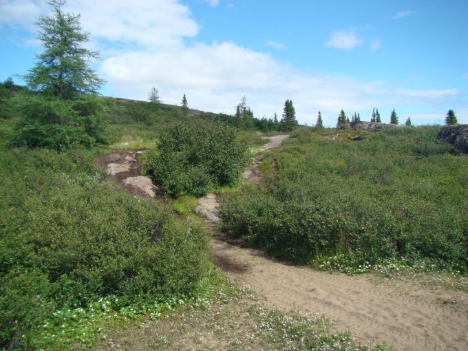 Tout est vert, juillet