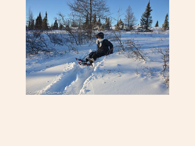 quand on s'aventure sur la petite île avec ses raquettes