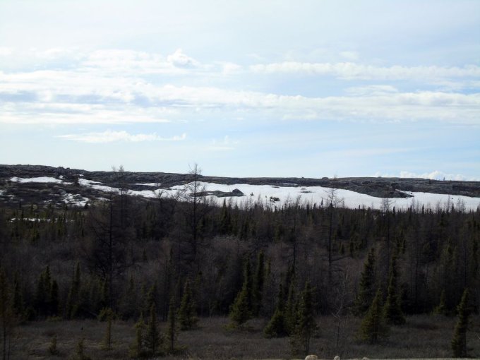 La toundra en face de chez moi