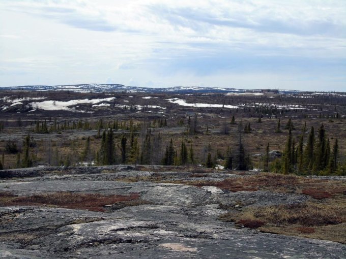 La toundra est tellement magnifique