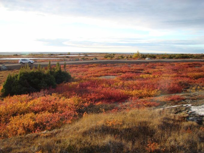 Belles couleurs de la toundra, Septembre