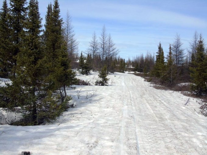Le sentier de neige....