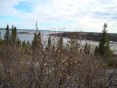 Premiers bourgeons, juin