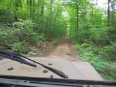 Sortie en forêt avec Momovik