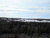 La toundra en face de chez moi